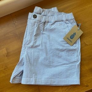 Classic New chubbies seersucker striped shorts